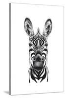 Zebra Illustration-Incado-Stretched Canvas