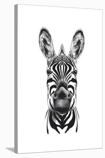 Zebra Illustration-Incado-Stretched Canvas