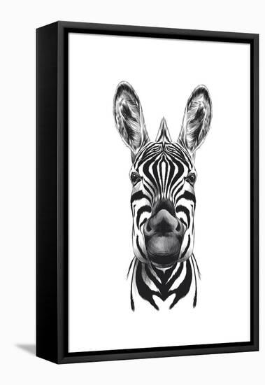 Zebra Illustration-Incado-Framed Stretched Canvas