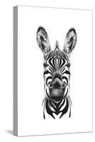 Zebra Illustration-Incado-Stretched Canvas