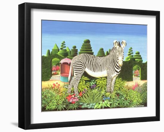 Zebra in a Garden, 1977-Anthony Southcombe-Framed Giclee Print