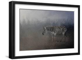 Zebra in a Snow Storm-Jai Johnson-Framed Giclee Print