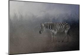 Zebra in a Snow Storm-Jai Johnson-Mounted Giclee Print