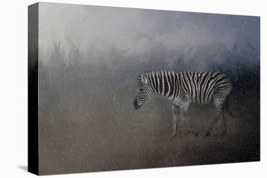 Zebra in a Snow Storm-Jai Johnson-Stretched Canvas