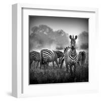 Zebra In Black And White-Donvanstaden-Framed Art Print