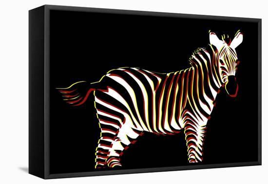 Zebra in Black Horizontal-Ikuko Kowada-Framed Stretched Canvas