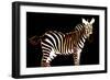 Zebra in Black Horizontal-Ikuko Kowada-Framed Giclee Print