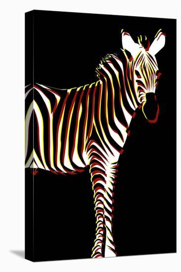 Zebra in Black Vertical-Ikuko Kowada-Stretched Canvas