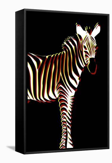 Zebra in Black Vertical-Ikuko Kowada-Framed Stretched Canvas