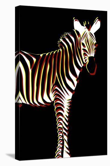 Zebra in Black Vertical-Ikuko Kowada-Stretched Canvas