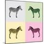 Zebra in Black, White, Green, Yellow and Pink Color - Vector-Elizabeta Lexa-Mounted Art Print