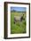 Zebra in Etosha-watchtheworld-Framed Photographic Print