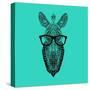 Zebra in Glasses-Lisa Kroll-Stretched Canvas