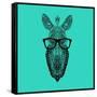 Zebra in Glasses-Lisa Kroll-Framed Stretched Canvas