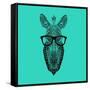 Zebra in Glasses-Lisa Kroll-Framed Stretched Canvas