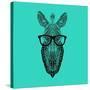 Zebra in Glasses-Lisa Kroll-Stretched Canvas