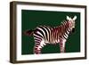 Zebra in Green Horizontal-Ikuko Kowada-Framed Giclee Print