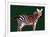 Zebra in Green Horizontal-Ikuko Kowada-Framed Giclee Print