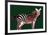 Zebra in Green Horizontal-Ikuko Kowada-Framed Giclee Print