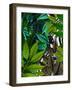 Zebra in Green Leaves-Fab Funky-Framed Art Print