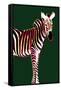 Zebra in Green Vertical-Ikuko Kowada-Framed Stretched Canvas