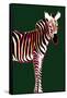 Zebra in Green Vertical-Ikuko Kowada-Framed Stretched Canvas