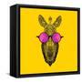 Zebra in Pink Glasses-Lisa Kroll-Framed Stretched Canvas