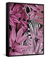 Zebra in Pink Leaves-Fab Funky-Framed Stretched Canvas