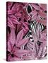 Zebra in Pink Leaves-Fab Funky-Stretched Canvas