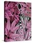 Zebra in Pink Leaves-Fab Funky-Stretched Canvas