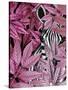 Zebra in Pink Leaves-Fab Funky-Stretched Canvas