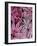 Zebra in Pink Leaves-Fab Funky-Framed Art Print