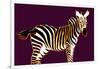 Zebra in Purple Horizontal-Ikuko Kowada-Framed Giclee Print