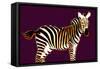 Zebra in Purple Horizontal-Ikuko Kowada-Framed Stretched Canvas