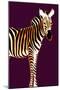 Zebra in Purple Vertical-Ikuko Kowada-Mounted Giclee Print