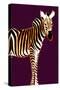 Zebra in Purple Vertical-Ikuko Kowada-Stretched Canvas