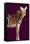 Zebra in Purple Vertical-Ikuko Kowada-Framed Stretched Canvas
