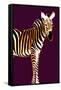 Zebra in Purple Vertical-Ikuko Kowada-Framed Stretched Canvas