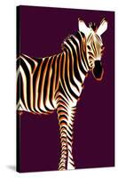 Zebra in Purple Vertical-Ikuko Kowada-Stretched Canvas