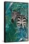 Zebra in the Jungle 1-Sarah Manovski-Framed Stretched Canvas