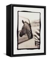 Zebra in the Mirror 1-Theo Westenberger-Framed Stretched Canvas