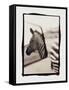 Zebra in the Mirror 1-Theo Westenberger-Framed Stretched Canvas