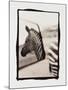 Zebra in the Mirror 1-Theo Westenberger-Mounted Photographic Print