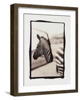 Zebra in the Mirror 1-Theo Westenberger-Framed Photographic Print