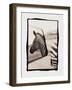 Zebra in the Mirror 1-Theo Westenberger-Framed Photographic Print