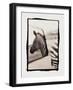 Zebra in the Mirror 1-Theo Westenberger-Framed Photographic Print