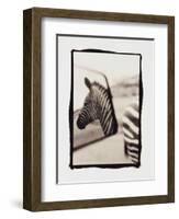 Zebra in the Mirror 1-Theo Westenberger-Framed Photographic Print