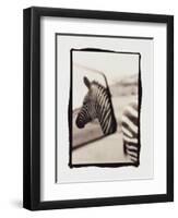 Zebra in the Mirror 1-Theo Westenberger-Framed Photographic Print