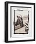 Zebra in the Mirror 1-Theo Westenberger-Framed Photographic Print