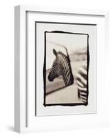 Zebra in the Mirror 1-Theo Westenberger-Framed Photographic Print